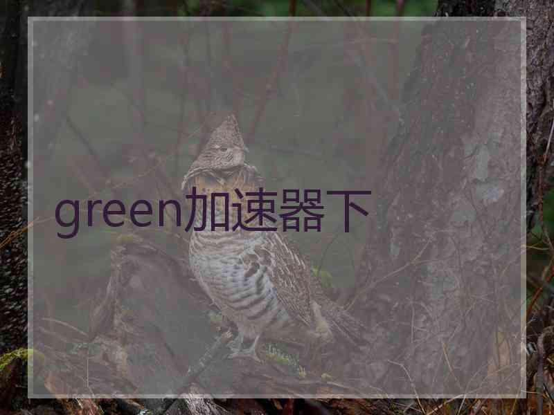 green加速器下