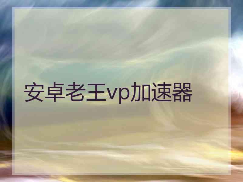 安卓老王vp加速器