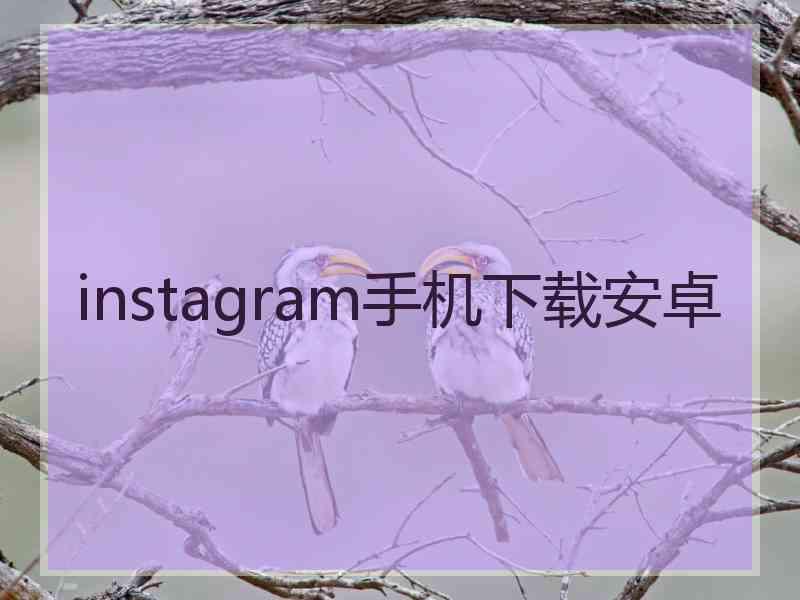 instagram手机下载安卓