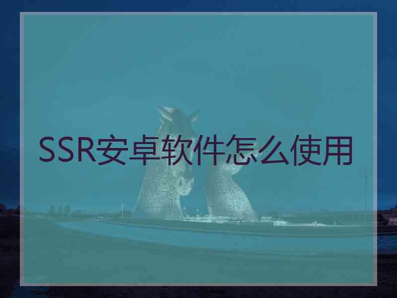 SSR安卓软件怎么使用