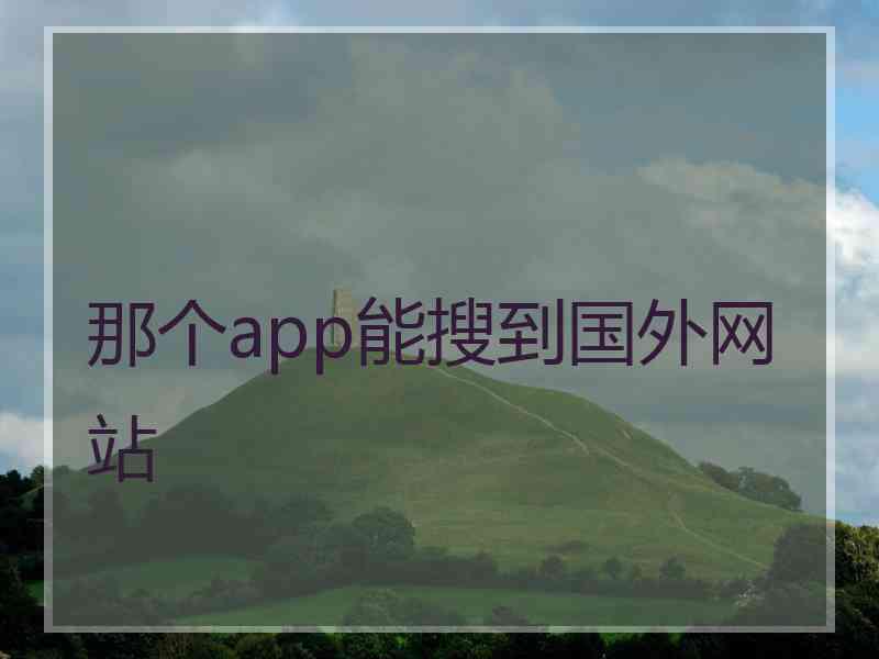 那个app能搜到国外网站