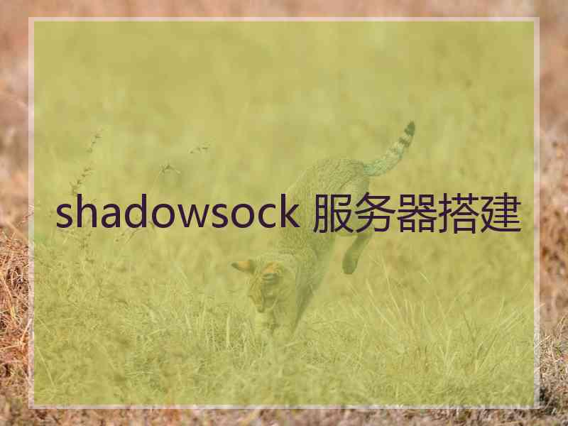 shadowsock 服务器搭建