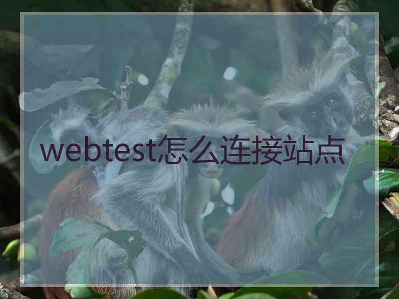 webtest怎么连接站点