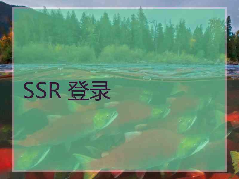 SSR 登录