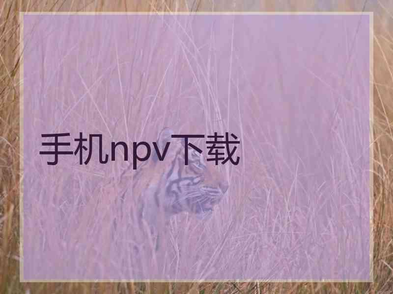 手机npv下载