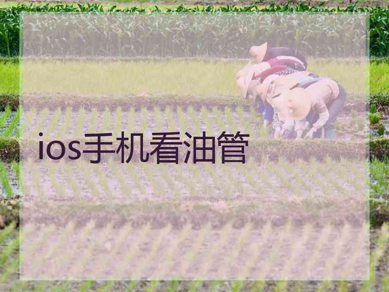 ios手机看油管