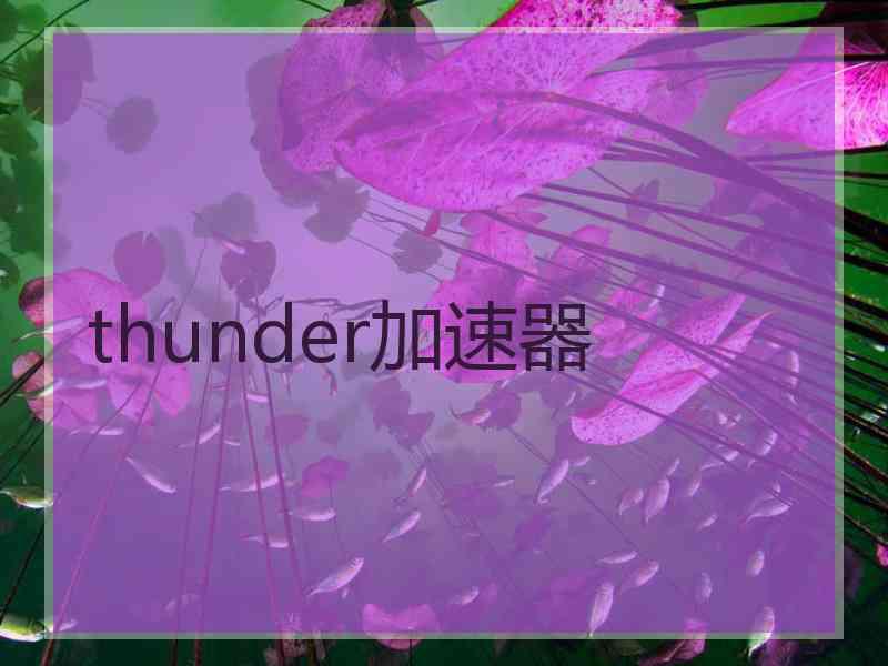 thunder加速器