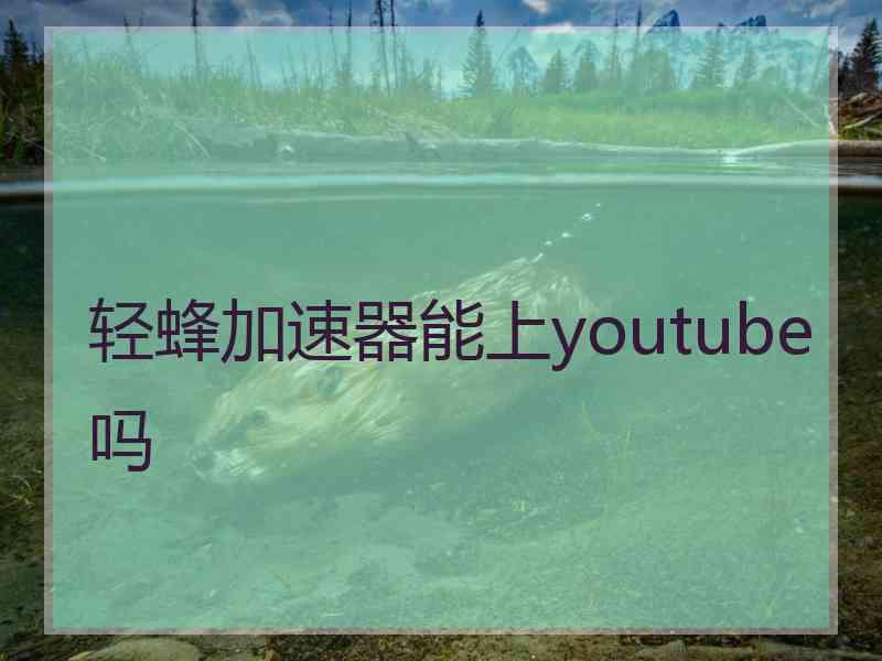 轻蜂加速器能上youtube吗