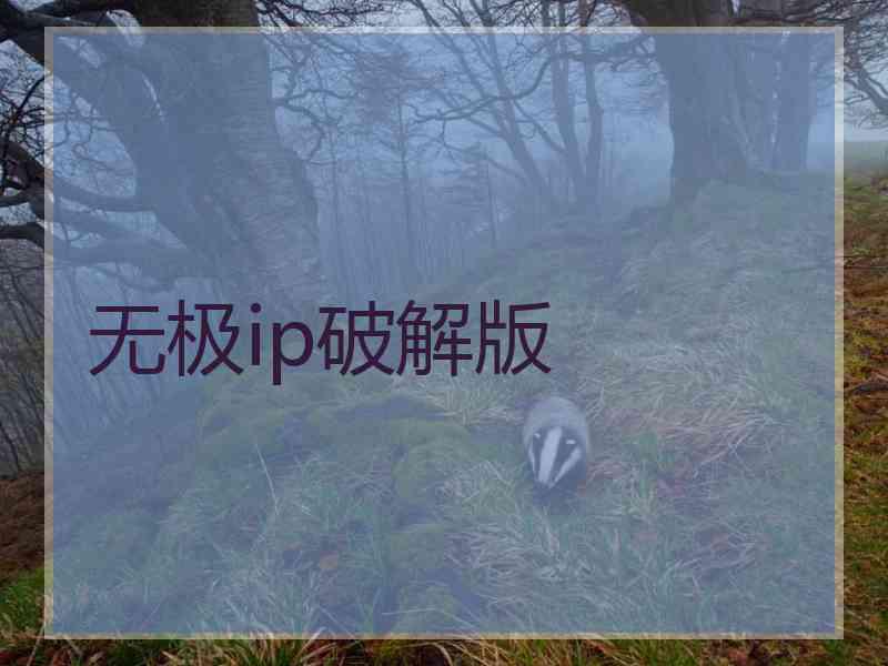 无极ip破解版