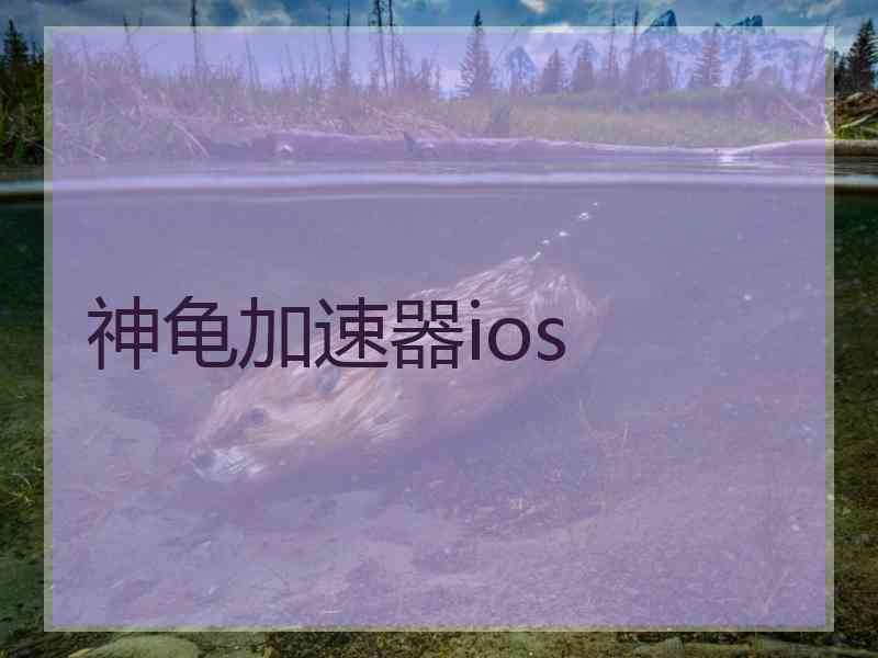 神龟加速器ios