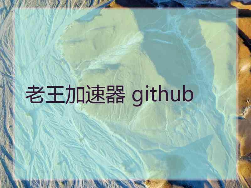 老王加速器 github