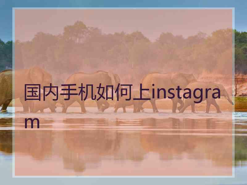 国内手机如何上instagram