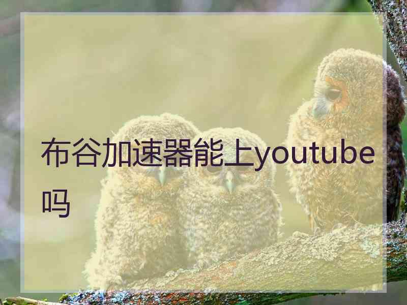 布谷加速器能上youtube吗