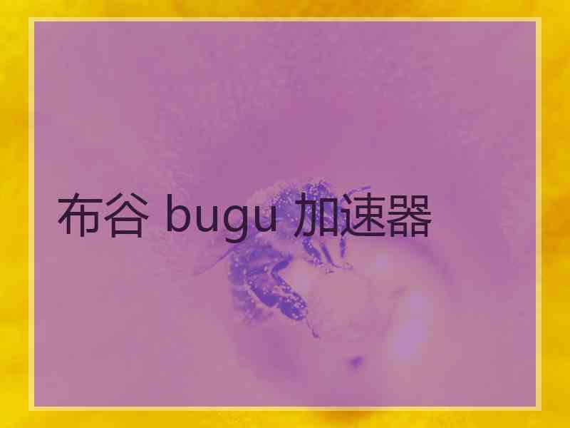 布谷 bugu 加速器