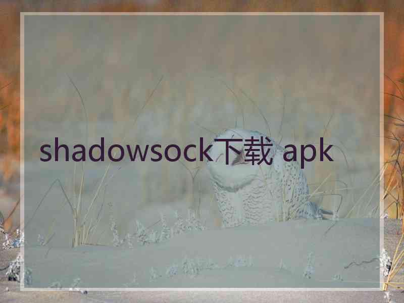 shadowsock下载 apk