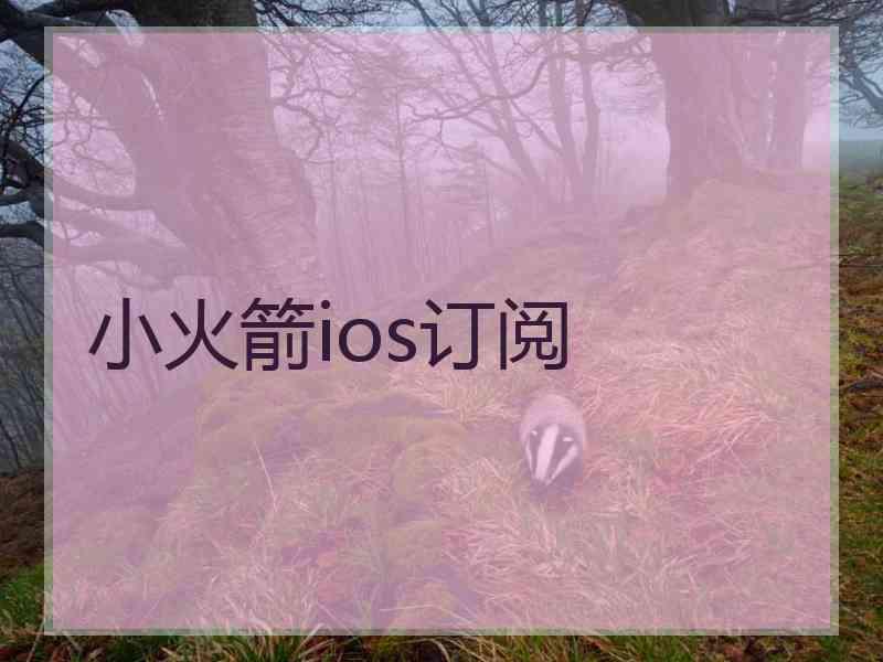 小火箭ios订阅