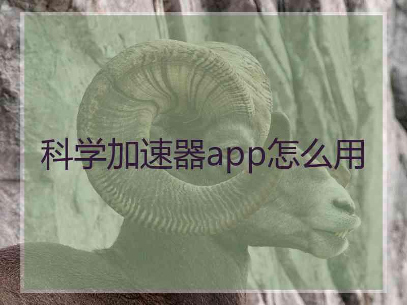 科学加速器app怎么用