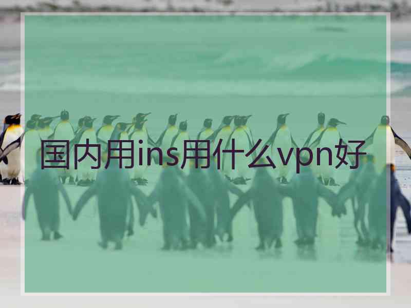 国内用ins用什么vpn好