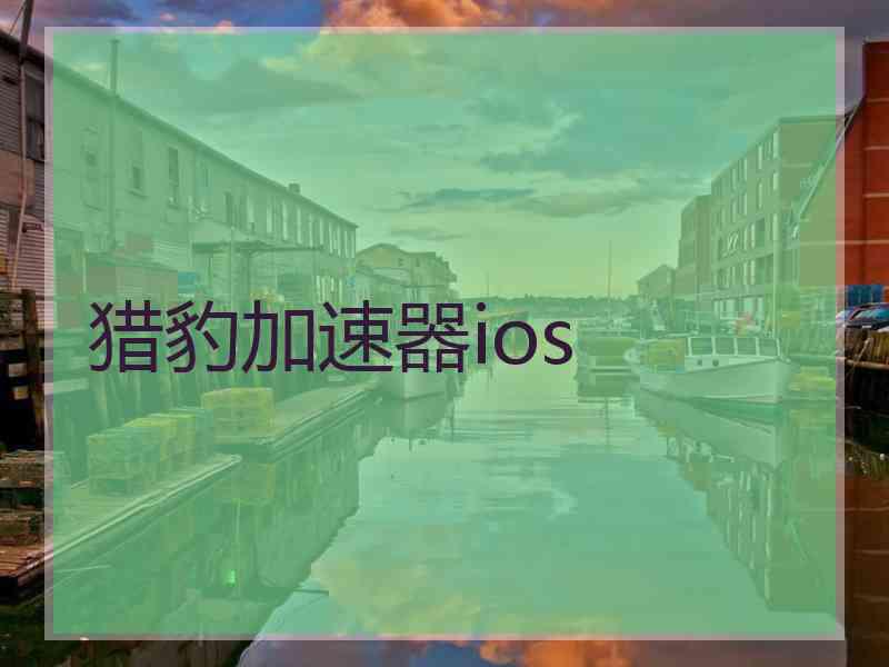 猎豹加速器ios