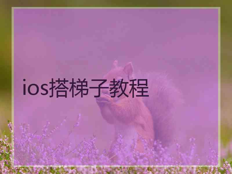 ios搭梯子教程